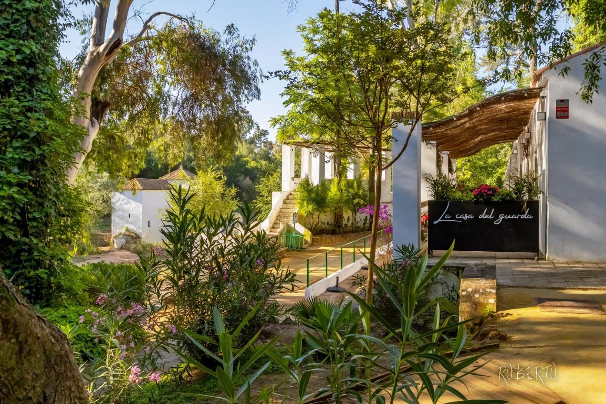 Apartamento Nuevo Centrico Con Aparcamiento Privado Incluido Alcalá de Guadaira Exteriér fotografie